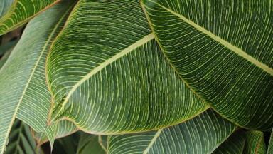 Bioprocessing vs Biotechnology - What's the Difference?