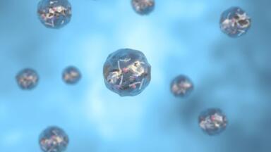 Fast, Cost-Effective Products for Extracellular Vesicle Isolation