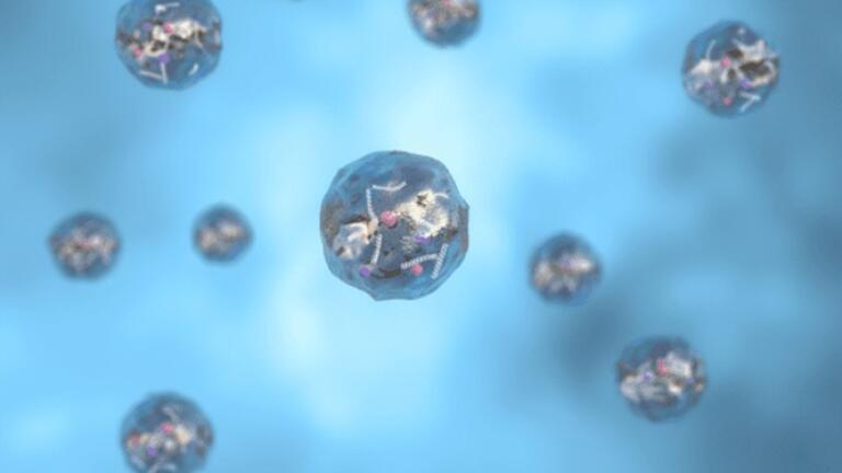Fast, Cost-Effective Products for Extracellular Vesicle Isolation