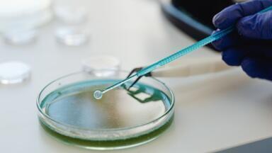 What Are the Different Types of Bioprocesses?