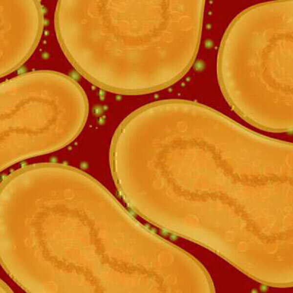 Monkeypox Assay Granted Emergency Use Authorization - Vimarsana News