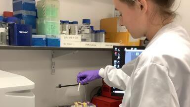 Accelerating Development of Sustainable Textile Dyes