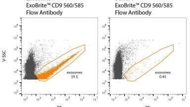 Antibodies for Exosome Detection