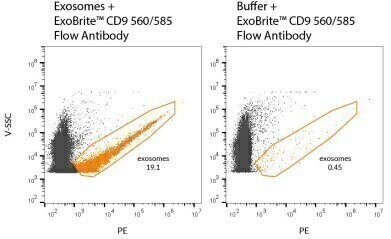 Antibodies for Exosome Detection