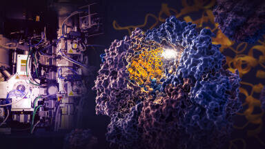 Landmark study reveals how TRiC nano chambers direct Protein Folding
