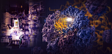 Landmark study reveals how TRiC nano chambers direct Protein Folding