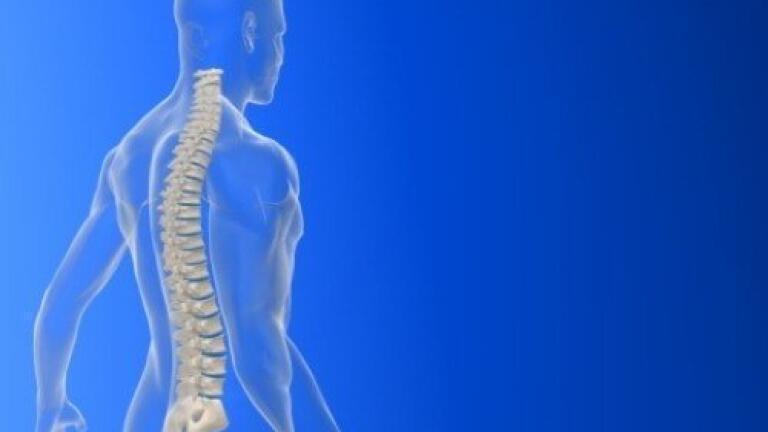 New approach to improving Drug Delivery