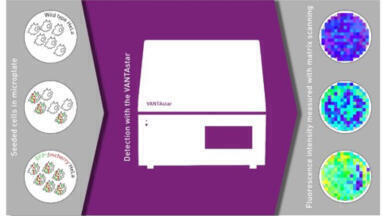 Quantifying Transfection Efficiency Without Microscopy