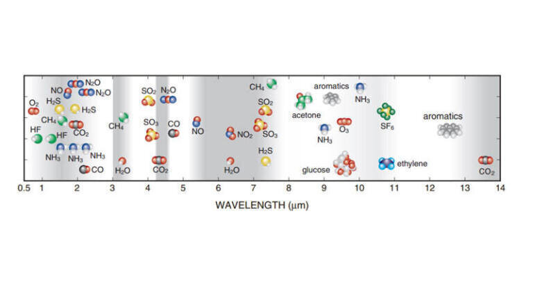 Wavelengths of light absorbed by molecules.