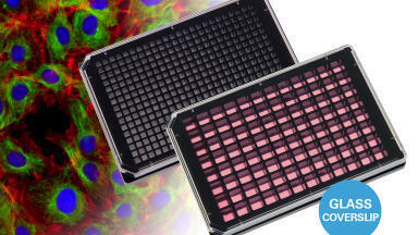 Glass Bottom µ-Plates Enable High Throughput and Super-Resolution Microscopy