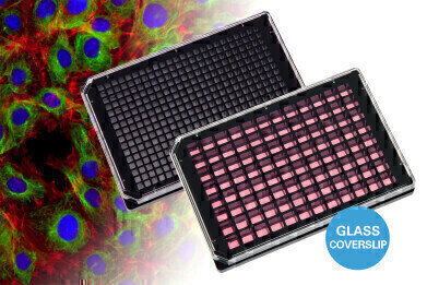 Glass Bottom µ-Plates Enable High Throughput and Super-Resolution Microscopy