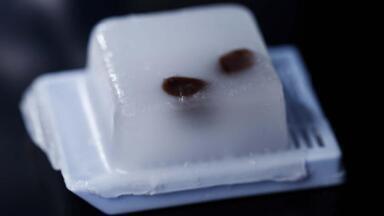 Fast and Simple gDNA Isolation from FFPE tissue