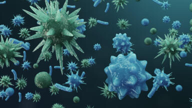 Accessible Diagnostic Distinguishes Bacterial and Viral Infections through Host Immune Response