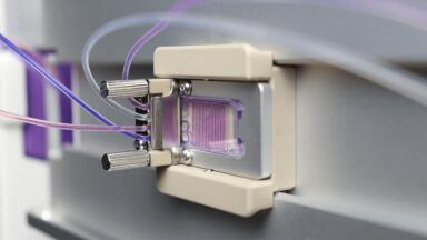 Optimising mRNA-LNP Formulation with Automated Microfluidics