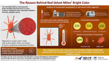 Scientific Significance of Red Colour in Balaustium Murorum Mites Revealed by Study