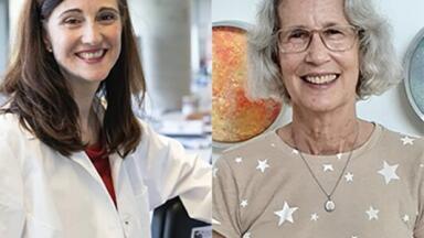 Insights from Prominent Scientists on Advancements in 3D Organoid Culture Research