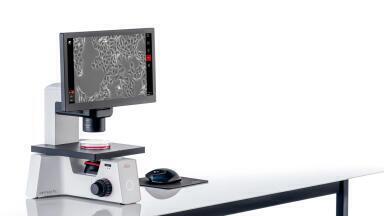 Digital Microscope Simplifies Cell Culture Checks