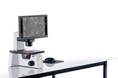 Digital Microscope Simplifies Cell Culture Checks