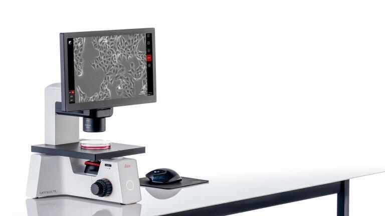Digital Microscope Simplifies Cell Culture Checks