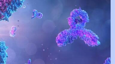 Investment to progress newly discovered Antibody Assets