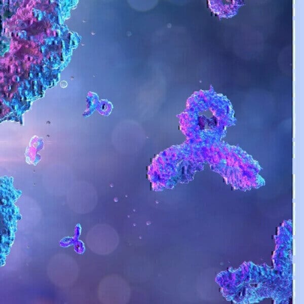 Investment to progress newly discovered Antibody Assets - Vimarsana News