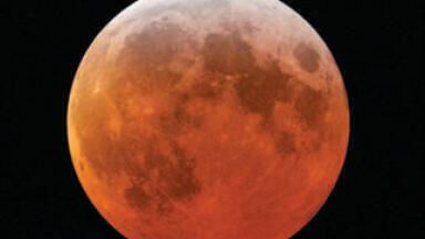 Seeking Life in Space - One Step Forward