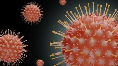 INTEGRA Biosciences’ products offer flexibility in the post-pandemic era