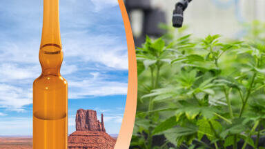 High Concentration Arizona Pesticide Standard Kit