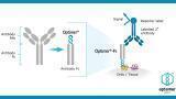 New Reagent Solution for Immunohistochemistry