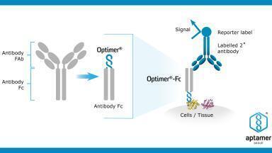 New Reagent Solution for Immunohistochemistry