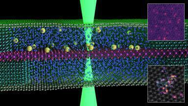 Graphene reveals surprising Magnetoresistance Response