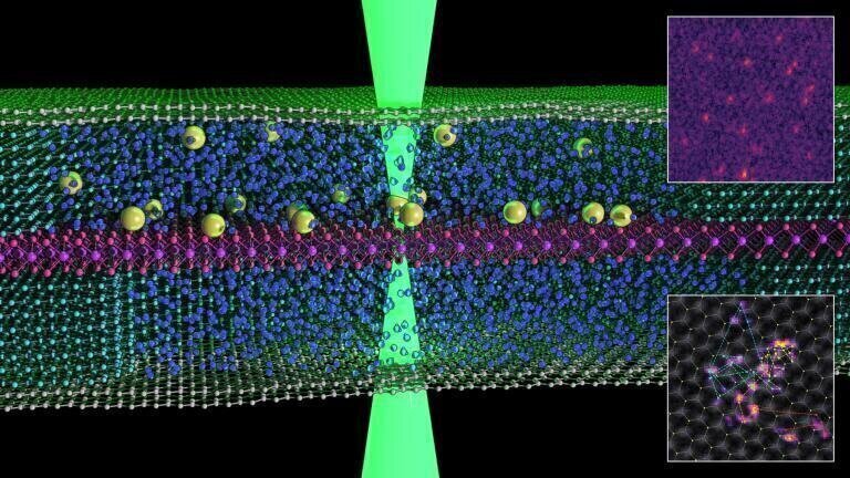 Graphene reveals surprising Magnetoresistance Response