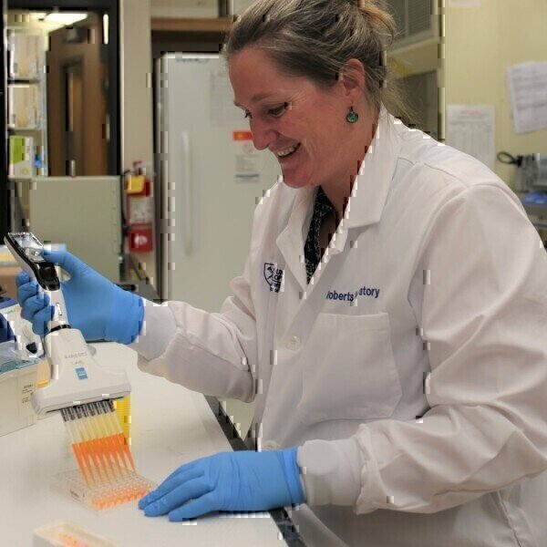 Optimising Proteomics Productivity with Pipetting Efficiency - Vimarsana News