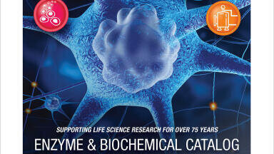 New Enzyme and Biochemical Catalogue for Life Science Applications