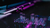 Revolutionary Immunoassay Analyser: Elite Performance, Zero Daily Maintenance