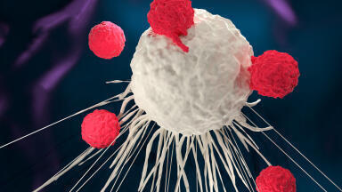 Efficient Transduction of CAR into T-cells