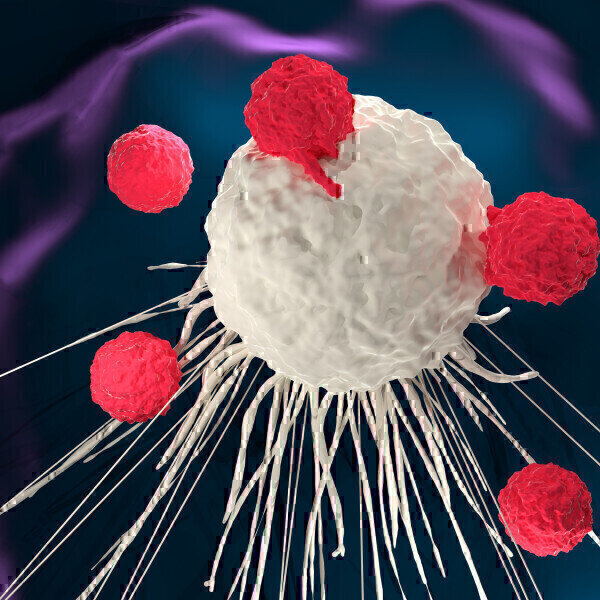 Efficient Transduction of CAR into T-cells - Vimarsana News