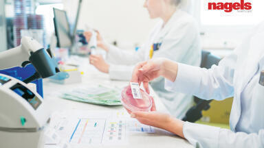 Comprehensive Solutions for Patient Identification and Documentation