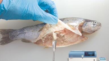 Mercury Analysis in Food Samples – A Case Study