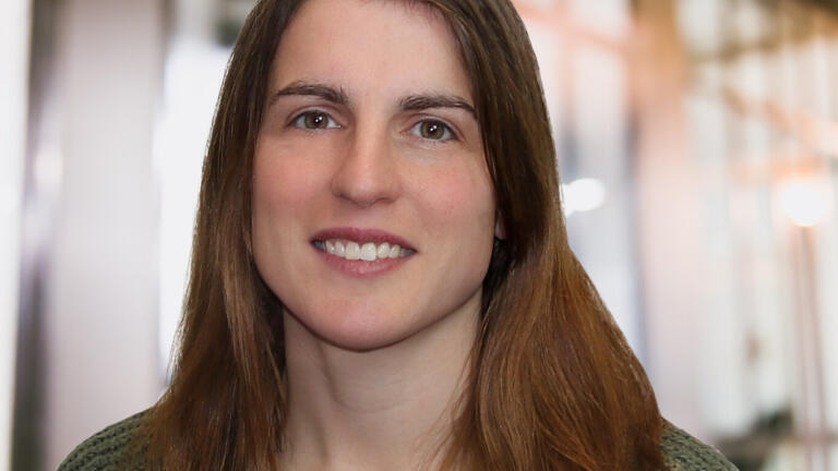 Strategic Role Focused on Direct Dealer Support