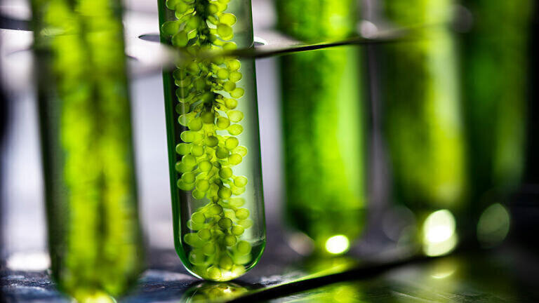 Dissolved species analyser designed for algae research