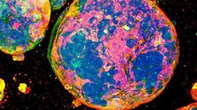Revolutionary Hydrogel Redefines 3D Cell Culture
