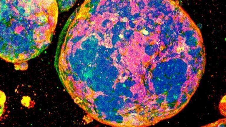 Revolutionary Hydrogel Redefines 3D Cell Culture