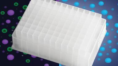 High Performance Microplates for Filtration Applications