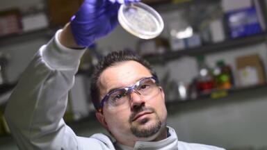 Gene Therapy boosts Bone Repair