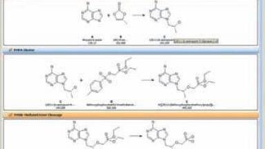 Electronic Lab Notebook Supports Workflow of Multiple Scientific Disciplines