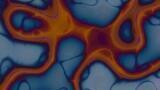 Human Lung Cell Atlas reveals Cell Type Diversity