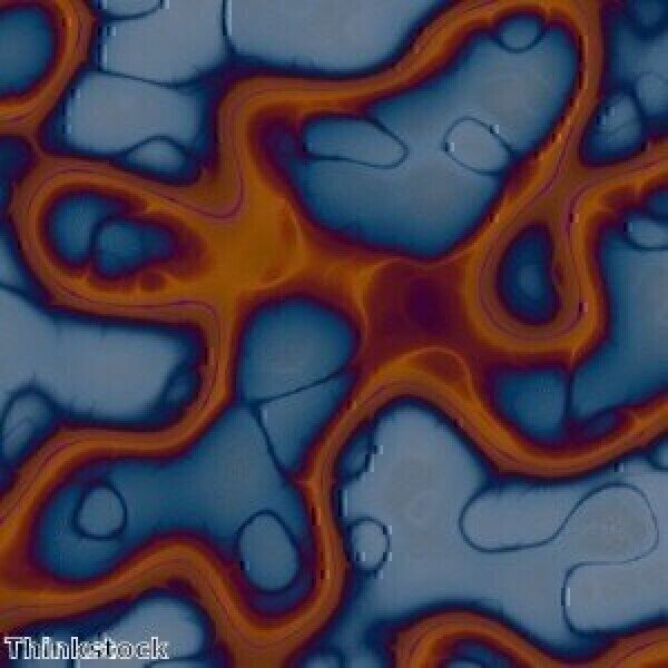 Human Lung Cell Atlas reveals Cell Type Diversity - Vimarsana News