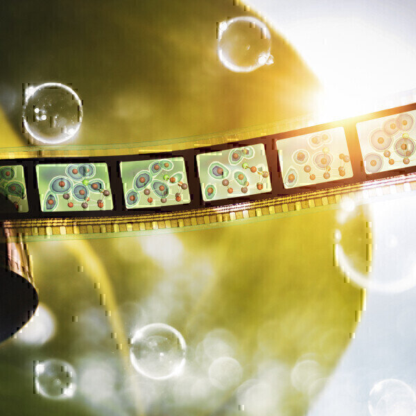 Elusive Missing Step in Photosynthesis Cycle Captured - Vimarsana News