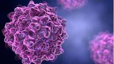 Innovative AAV Production Service for Targeted Gene Delivery